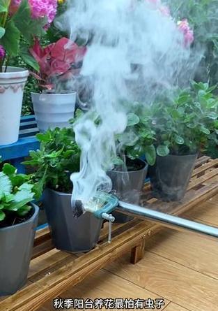 阳台花卉虫害的防治方法是什么？