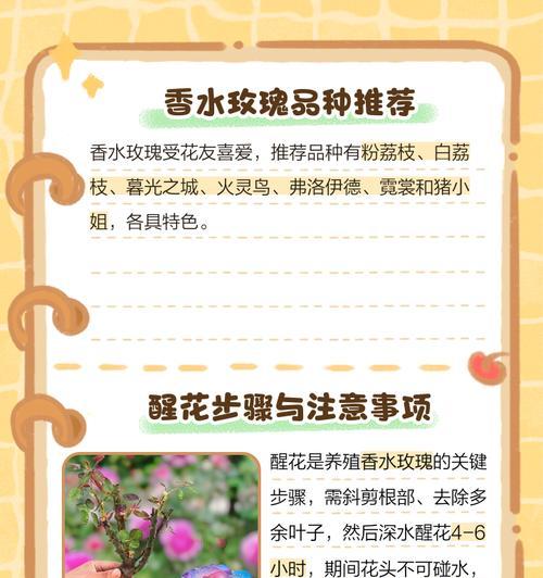 变色玫瑰的养殖技巧有哪些？