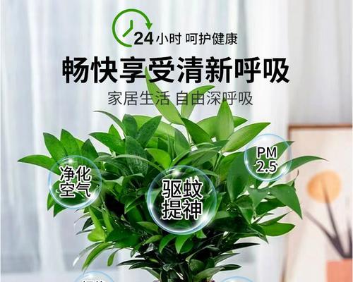 水培驱蚊草的方法是什么？水培驱蚊草需要注意哪些问题？