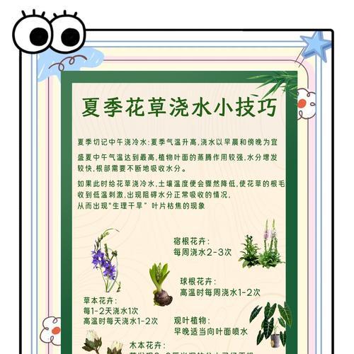 夏季草花有哪些推荐？如何进行夏季养护？
