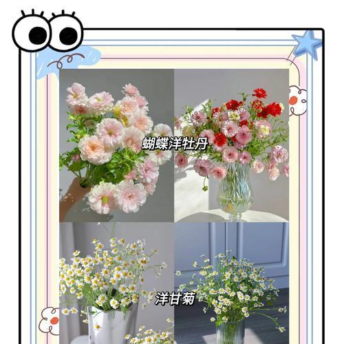 夏季草花有哪些推荐？如何进行夏季养护？