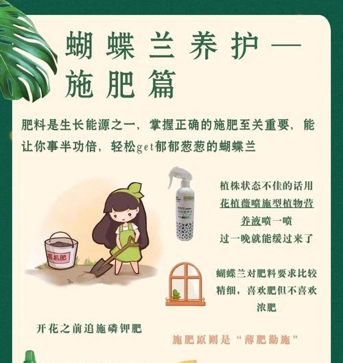 蝴蝶兰怎么养好？蝴蝶兰的养殖方法是什么？