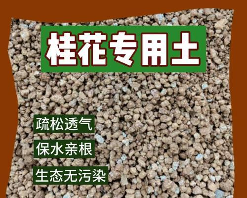 桂花烂根的处理方法是什么？