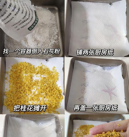 桂花烂根的处理方法是什么？
