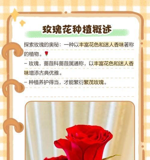 玫瑰花籽播种的最佳时间是什么时候？