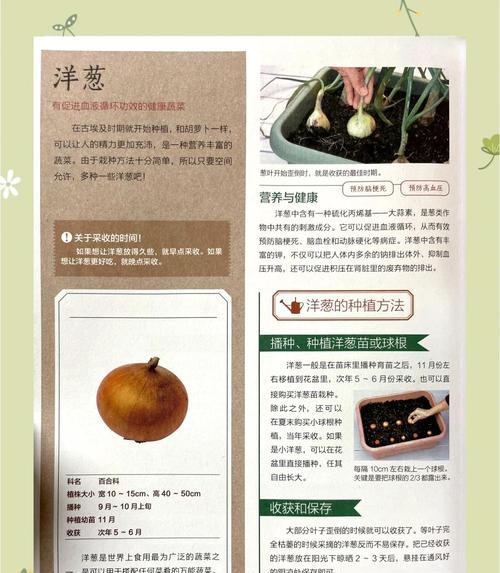 阳台种植蔬菜的技巧和推荐有哪些？