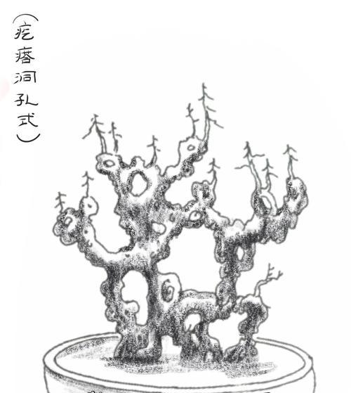 盆景疙瘩制作技巧有哪些？制作过程中应注意什么？