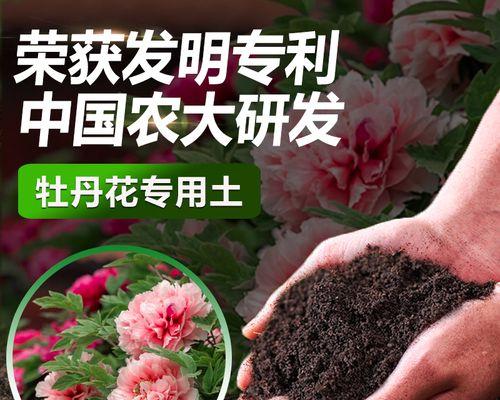 牡丹用什么土最好？如何选择适合牡丹的土壤？
