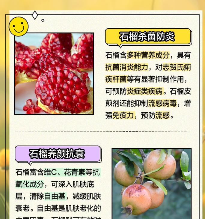 石榴树的养护要点是什么？如何确保石榴树的果实品质？