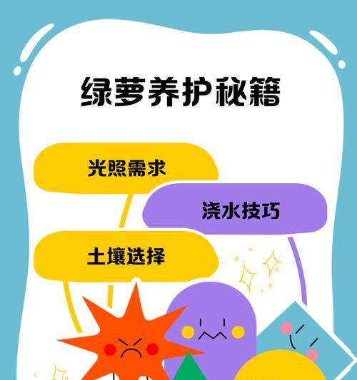 绿萝快速生长的秘诀是什么？