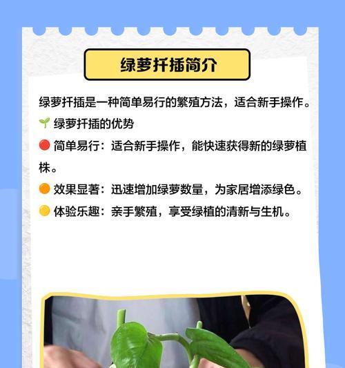 绿萝快速生长的秘诀是什么？