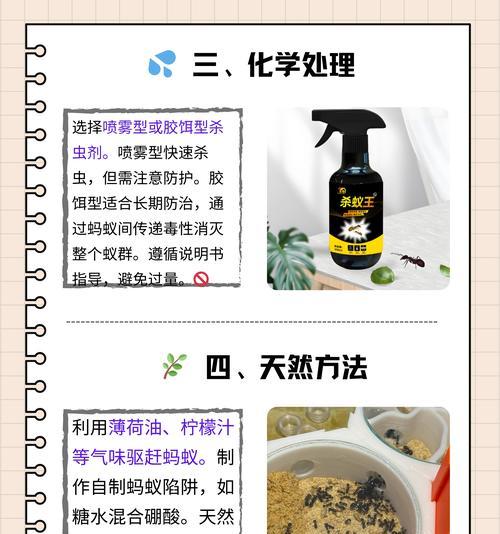 花盆蚂蚁怎么彻底清除？