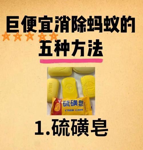 花盆蚂蚁怎么彻底清除？