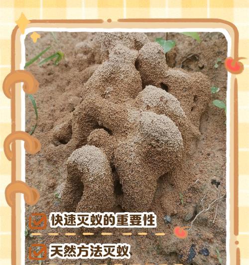 花盆蚂蚁怎么彻底清除？