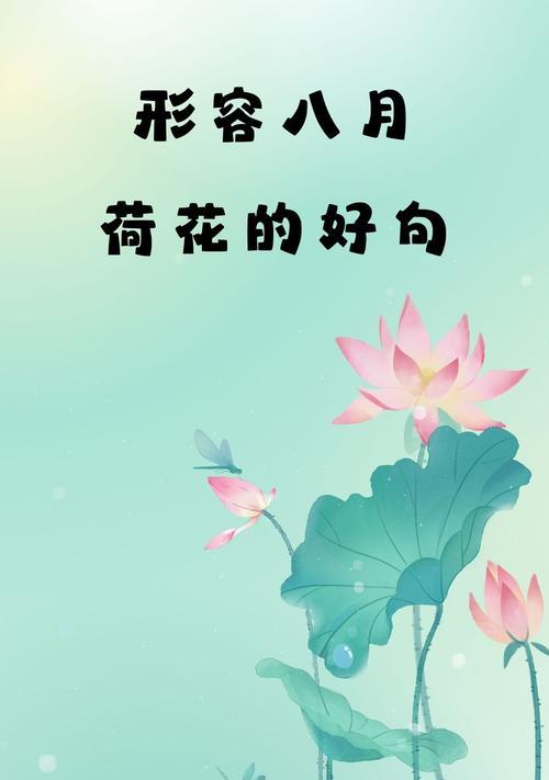 荷花多开花的秘诀是什么？
