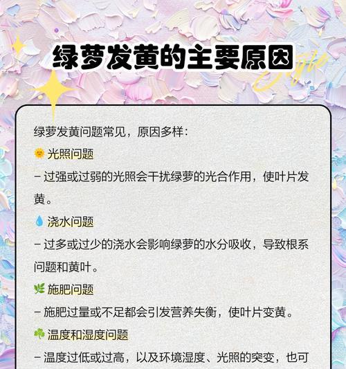 绿萝叶尖发黄的原因及解决方法是什么？