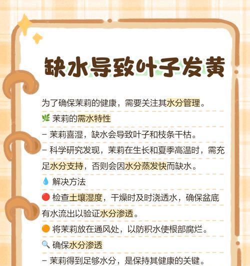 茉莉花黄叶的处理方法是什么？
