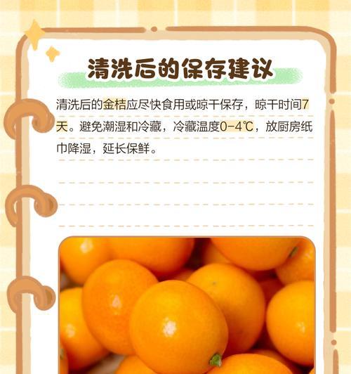 金桔移栽的最佳时期是什么时候？移栽金桔的正确步骤有哪些？