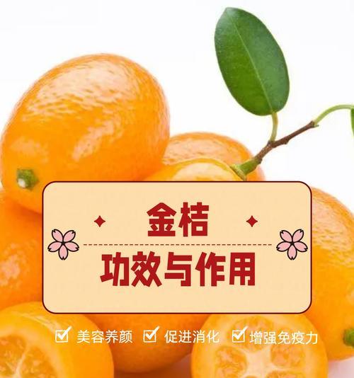 金桔移栽的最佳时期是什么时候？移栽金桔的正确步骤有哪些？