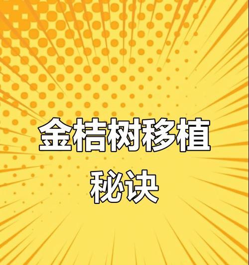金桔移栽的最佳时期是什么时候？移栽金桔的正确步骤有哪些？