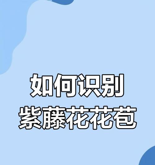 紫藤的叶子长什么样？如何辨别紫藤的叶子？