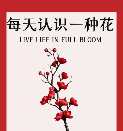 104朵花代表什么含义？花语解释及常见问题解答？