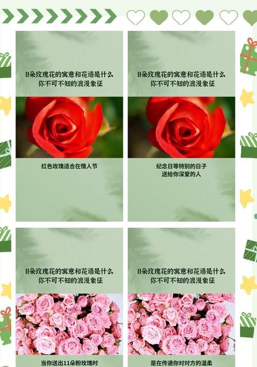 104朵花代表什么寓意？花语含义有哪些疑问解答？