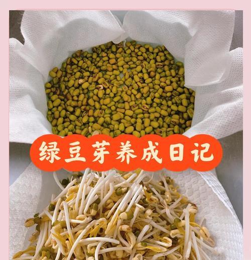 冬天绿豆催芽方法是什么？需要多长时间才能发芽？