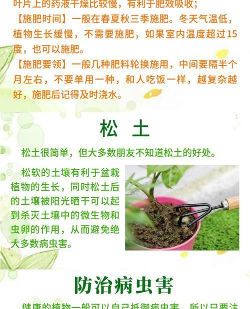 外壳坚硬的种子如何正确催芽？催芽过程中常见的问题有哪些？