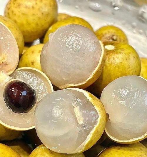 龙眼催芽成功后如何进行水培？水培过程中的常见问题有哪些？