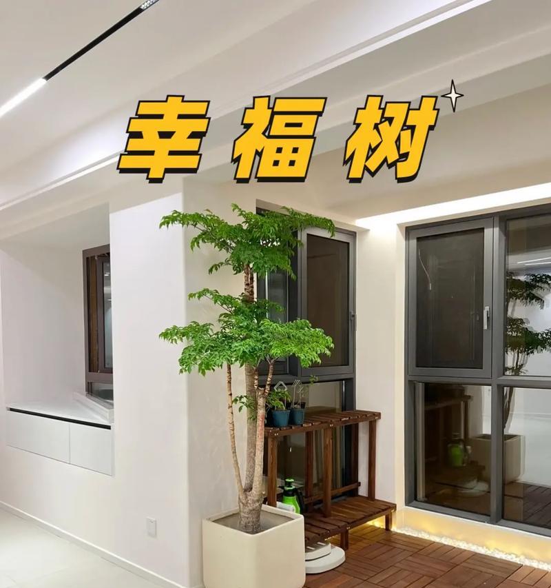火鸡修剪枝叶的最佳方法是什么？修剪后如何促进生长？
