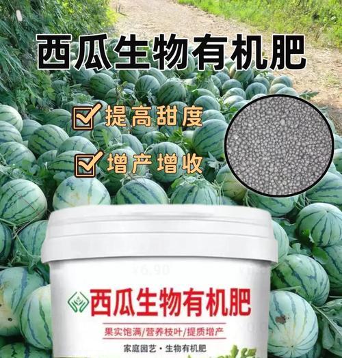 西瓜催芽过程中肥料使用方法是什么？