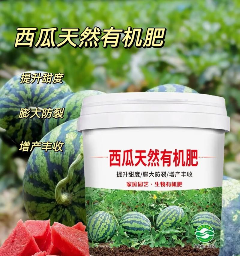 西瓜催芽过程中肥料使用方法是什么？