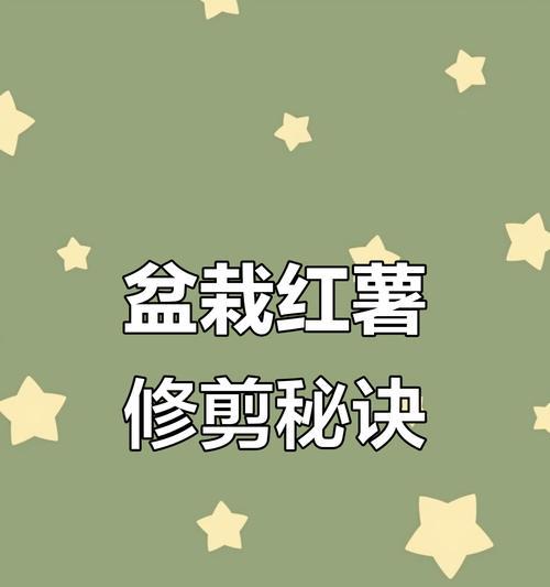 红薯修剪枝条的最佳时机是什么时候？修剪后如何管理？