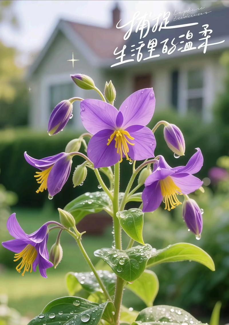 怎么挖绿植苗种植方法？步骤和注意事项是什么？