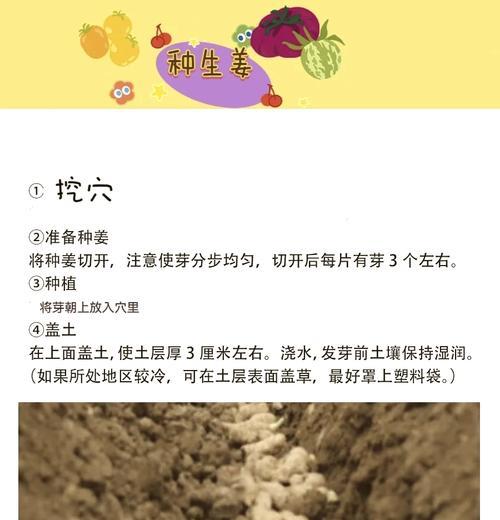 怎么挖绿植苗种植方法？步骤和注意事项是什么？
