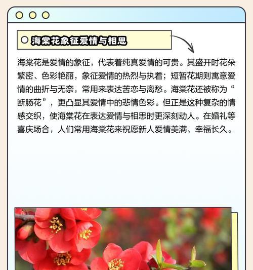 104朵花的寓意是什么意思？花语背后的含义有哪些？