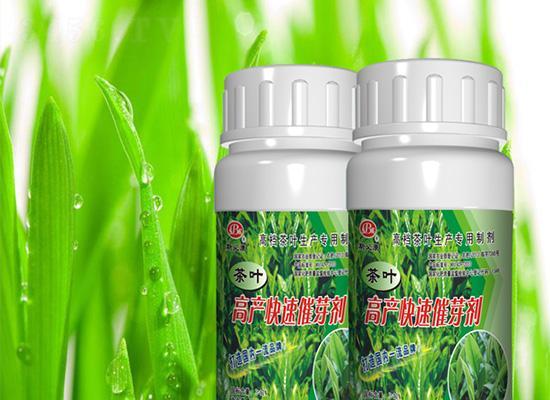 沙漠玫瑰催芽剂使用方法是什么？如何正确使用以提高发芽率？
