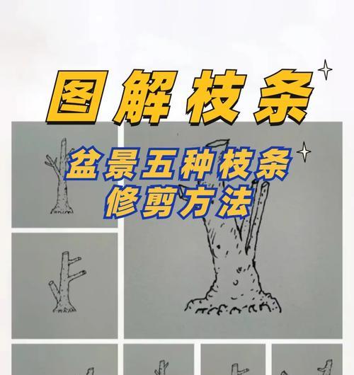 进口紫藤修剪枝条的最佳时机和方法是什么？