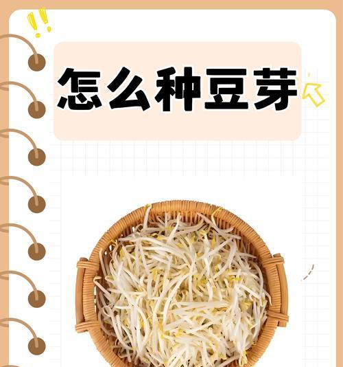 家雀蛋豆种植方法是什么？如何正确种植家雀蛋豆？