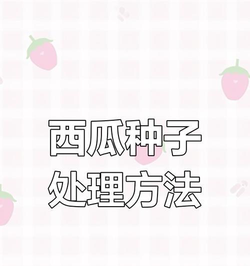 精品小西瓜催芽育苗的正确方法是什么？