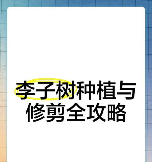 李子树修剪的最佳时期是什么时候？修剪枝条有哪些技巧？