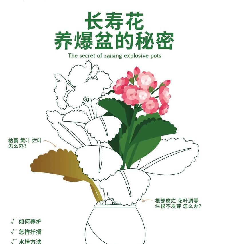 绿植怎么种植方法？初学者指南有哪些常见问题解答？