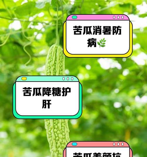 苦瓜催芽最快方法是什么？步骤和注意事项有哪些？