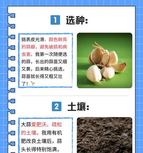 蒜生霉了怎么种植方法？有效防止蒜头霉变的技巧是什么？