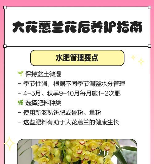 大花蕙兰秋芽催芽方法是什么？如何快速促进大花蕙兰发芽？