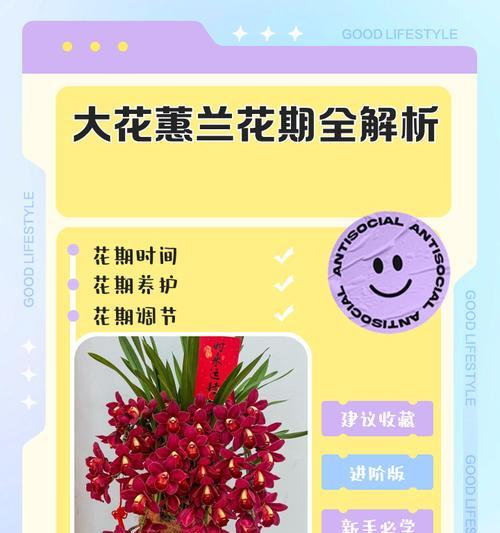 大花蕙兰秋芽催芽方法是什么？如何快速促进大花蕙兰发芽？