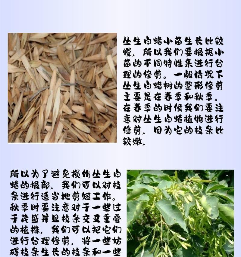 籽种催芽发芽快的方法是什么？需要多长时间才能看到效果？