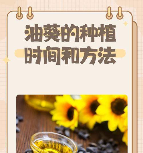 籽种催芽发芽快的方法是什么？需要多长时间才能看到效果？