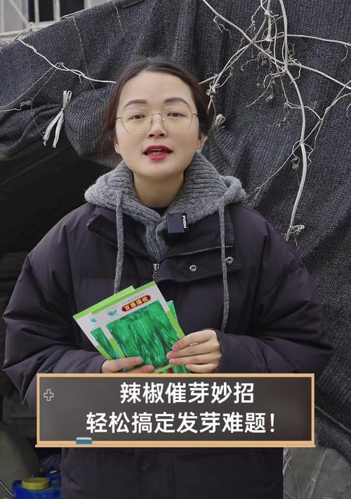 催芽出芽了怎么办？如何正确处理植物发芽问题？
